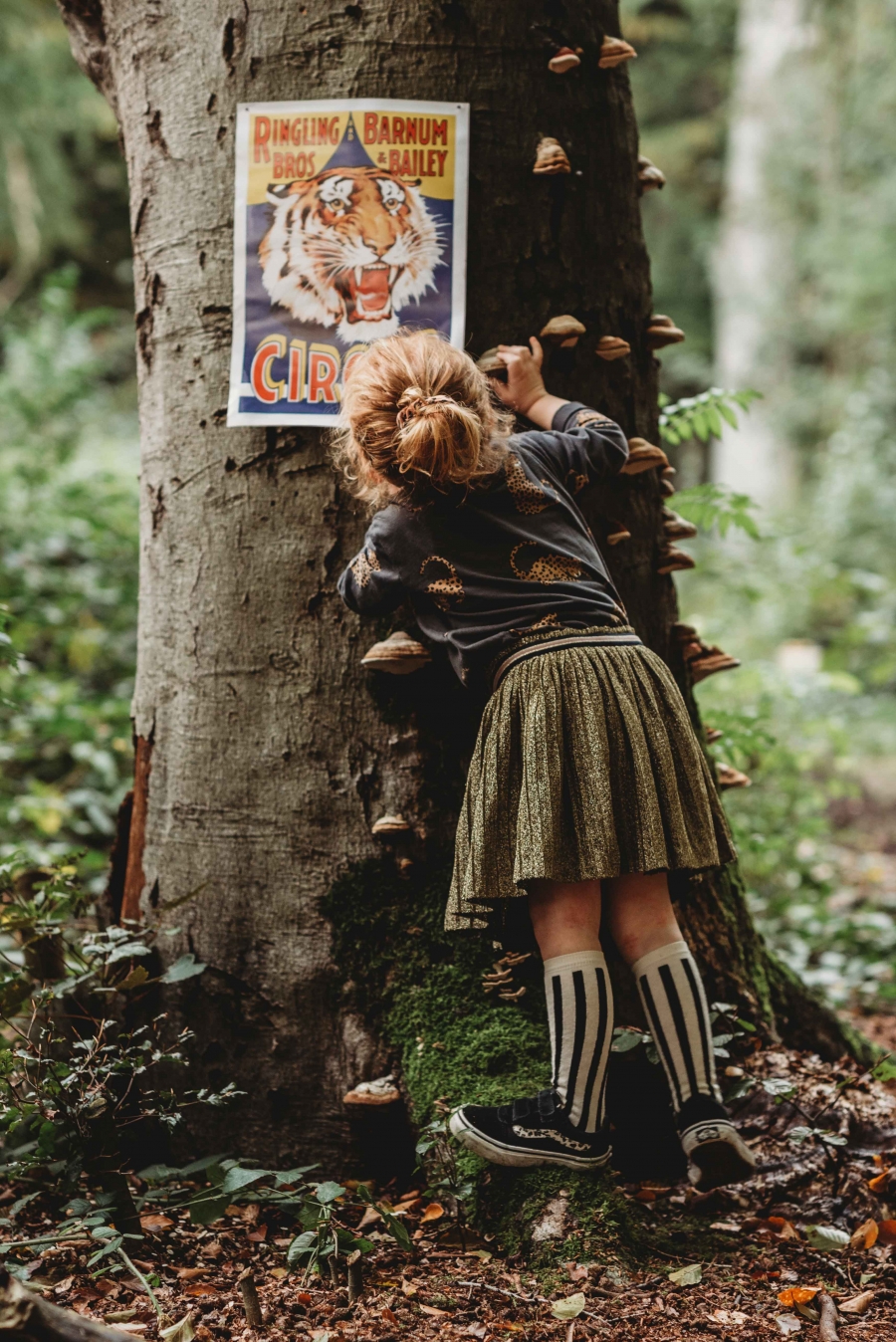 FIH Fotografie » Magische bos shoot